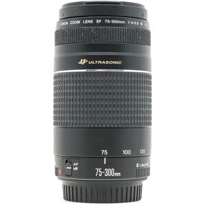 Canon EF 75-300mm f/4-5.6 III USM (Condition: Excellent)