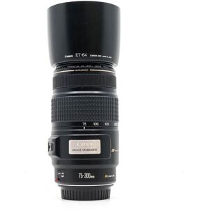 Canon EF 75-300mm f/4-5.6 IS USM (Condition: Good)