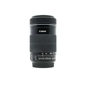 Canon EF-S 55-250mm f/4-5.6 IS STM (Condition: Excellent)