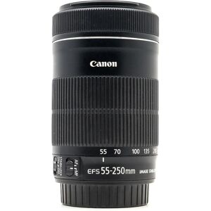 Canon EF-S 55-250mm f/4-5.6 IS STM (Condition: Excellent)