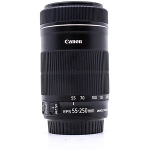 Canon EF-S 55-250mm f/4-5.6 IS STM (Condition: Excellent)