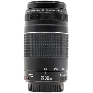 Canon EF 75-300mm f/4-5.6 III (Condition: Good)