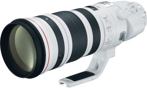 Canon 200-400mm EF f/4 L IS USM