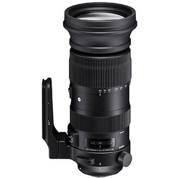 Sigma 60-600/4,5-6,3 DG OS HSM Sports, till Canon EF