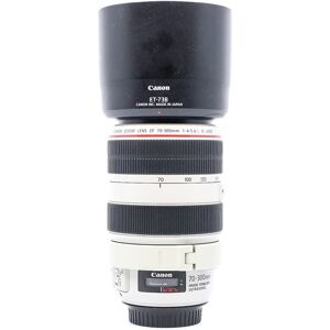 Used Canon EF 70-300mm f/4-5.6 L IS USM