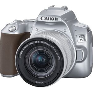 Canon Eos 250D + 18-55 IS STM Argent