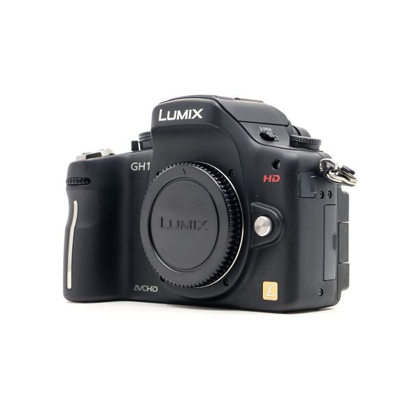 panasonic lumix dmc-gh1 (condition: good)