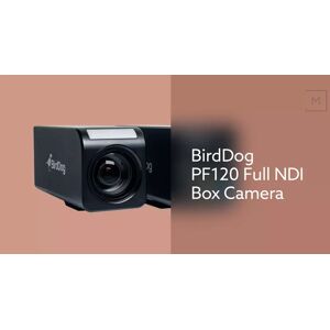 BirdDog PF120 Full NDI Box Camera