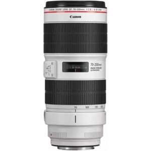 Canon EF70-200 f/2.8LIS III USM