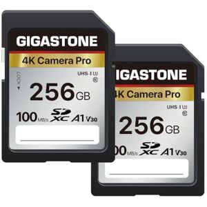 Gigastone 256GB 2-Pack SD Card V30 SDXC Memory Card High Speed 4K Ultra HD UHD Video Compatible with Canon Nikon Sony Pentax Kodak Olympus Panasonic Digital Camera