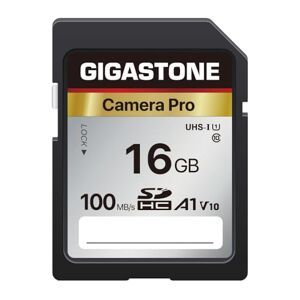Gigastone 16GB SD Card V10 SDHC Memory Card High Speed Full HD Video Compatible with Canon Nikon Sony Pentax Kodak Olympus Panasonic Digital Camera, with 1 mini case