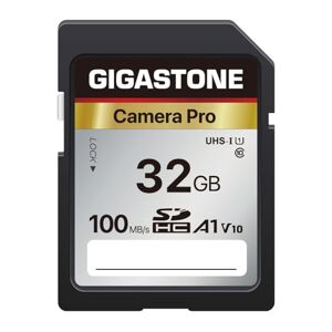 Gigastone 32GB SD Card V10 SDHC Memory Card High Speed Full HD Video Compatible with Canon Nikon Sony Pentax Kodak Olympus Panasonic Digital Camera, with 1 mini case