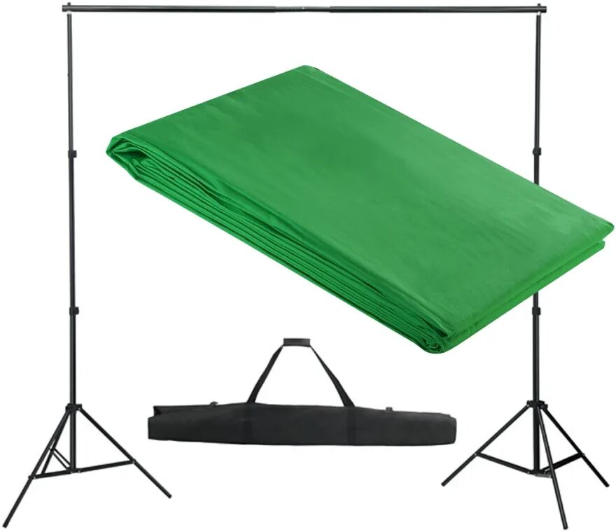 vidaXL Sistem de suport fundal, 300 x 300 cm, verde