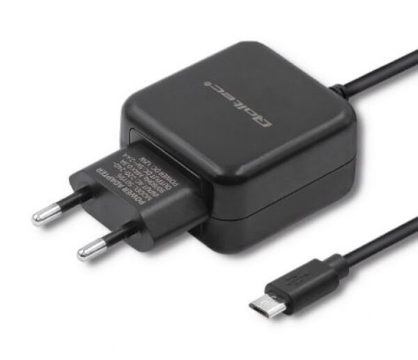 Qoltec 50196 - Wandladegerät 1 x micro-USB - Schwarz