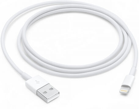 Apple - Lightning to USB cable (1 m)