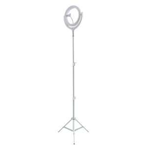 4Smarts LoomiPod Selfie Gulv Lampe m.LED Ring Light & Justerbar Stander