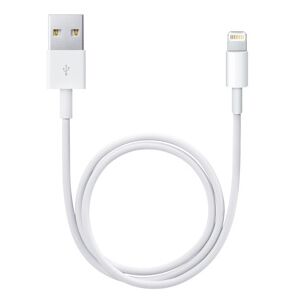 Apple Lightning / USB 0,5 m Blanc - Publicité