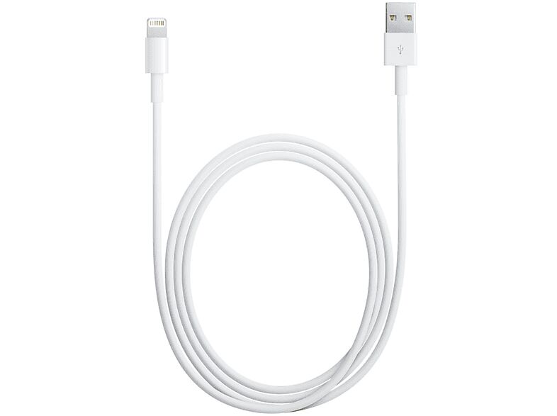 Apple Cavo da Lightning a USB (0,5 m)