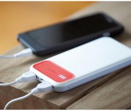 Gedshop 1000 Powerbank Silicon Valley 10.000 mAh neutro o personalizzato