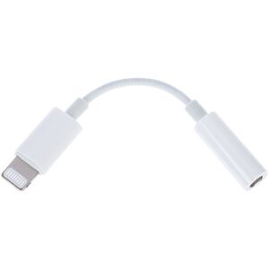 Apple Lightning auf 3,5 mm Adapter