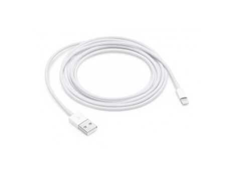 Apple Cabo Lightning (iPad - USB - Lightning - Branco)