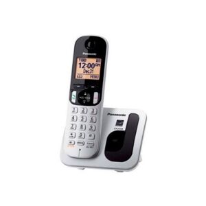 Teléfono inalámbrico digital Panasonic KX-TGC210 Gris