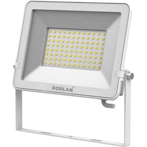 Roblan Proyector Led 10w  Mhlf10fw 4.000ºk Blanco