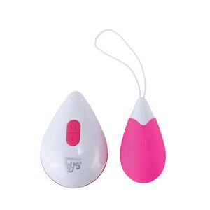 Dream Toys All Time Favorites 10F Remote Egg