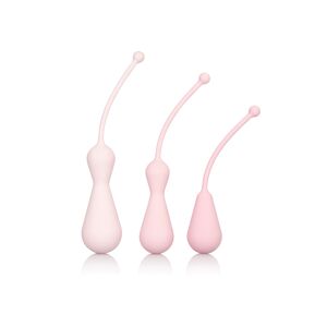 CalExotics Inspire Weighted Kegel Training Kit