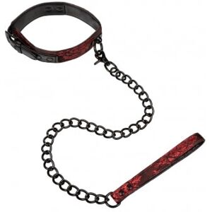 CalExotics Collier et Laisse Scandal Collar with Leash