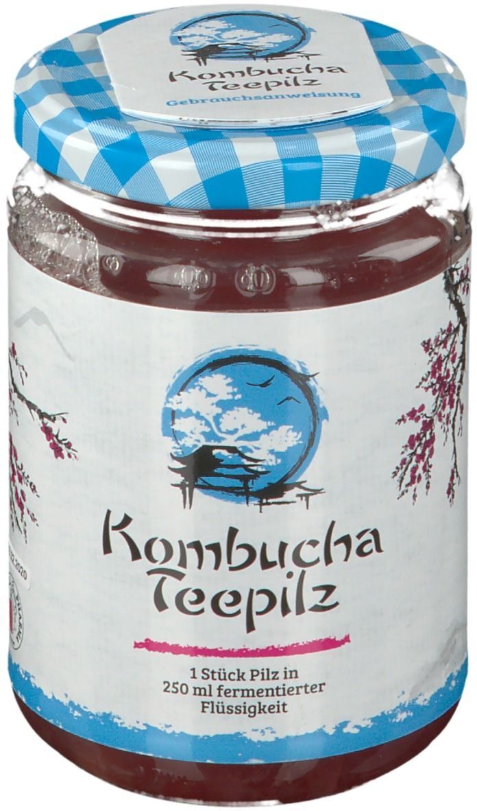 Gall Pharma Kombucha Teepilz 1 St Tee