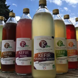 Pack Boissons probiotiques 3 x 1 litre BIO - En direct de TK Bio - The Kefir et Kombucha Compagnie (Indre-et-Loire)