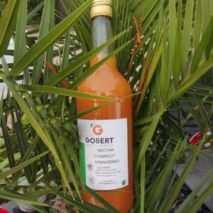 Nectar d'abricot, variete Orangered - 1 litre - En direct de Gobert, l'abricot de 4 generations (Drôme)