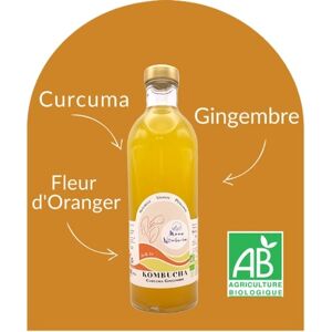 Kombucha Curcuma, Gingembre, Fleur D'oranger - Jo and Jo - En direct de Mama Kombucha (Gironde)