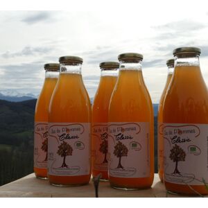 Jus De Pommes Bio « classic » Varietes Anciennes : 6 Bouteilles Dont 1 Gratuite - En direct de Terres EnVie (Ariege)