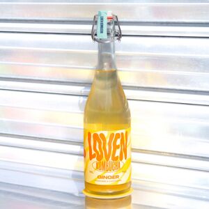 Kombucha Ginger (gingembre cardamome) - 3x75cl - En direct de Brasserie L'Indispensable LOVEN Kombucha (Nord)