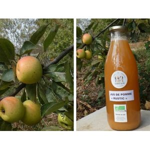 Jus De Pommes Bio « rustic » Varietes Anciennes - En direct de Terres EnVie (Ariege)