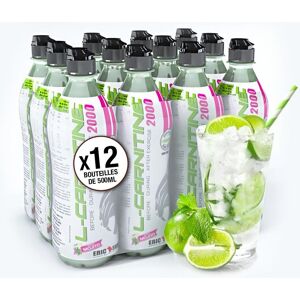 Eric Favre Boisson L-Carnitine Boissons - Mojito - Pack de 12 unités - Eric Favre Pack de 12 unités