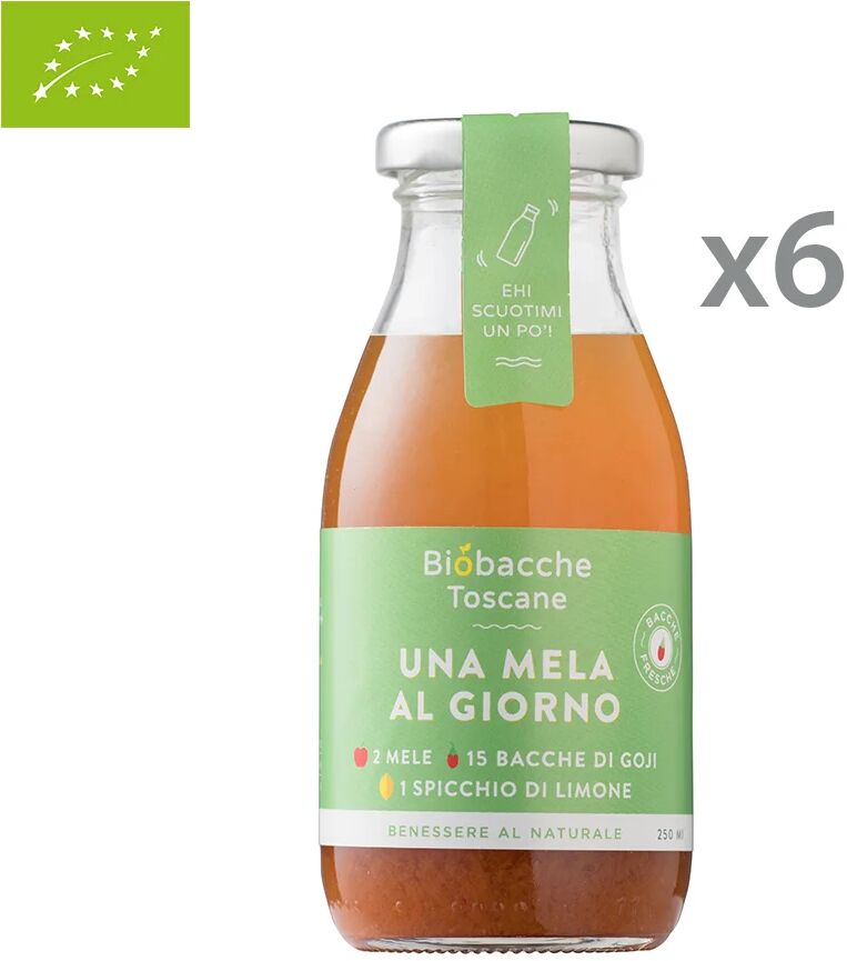 Biobacche Toscane 6 bottigliette - Una mela al giorno 250 ml