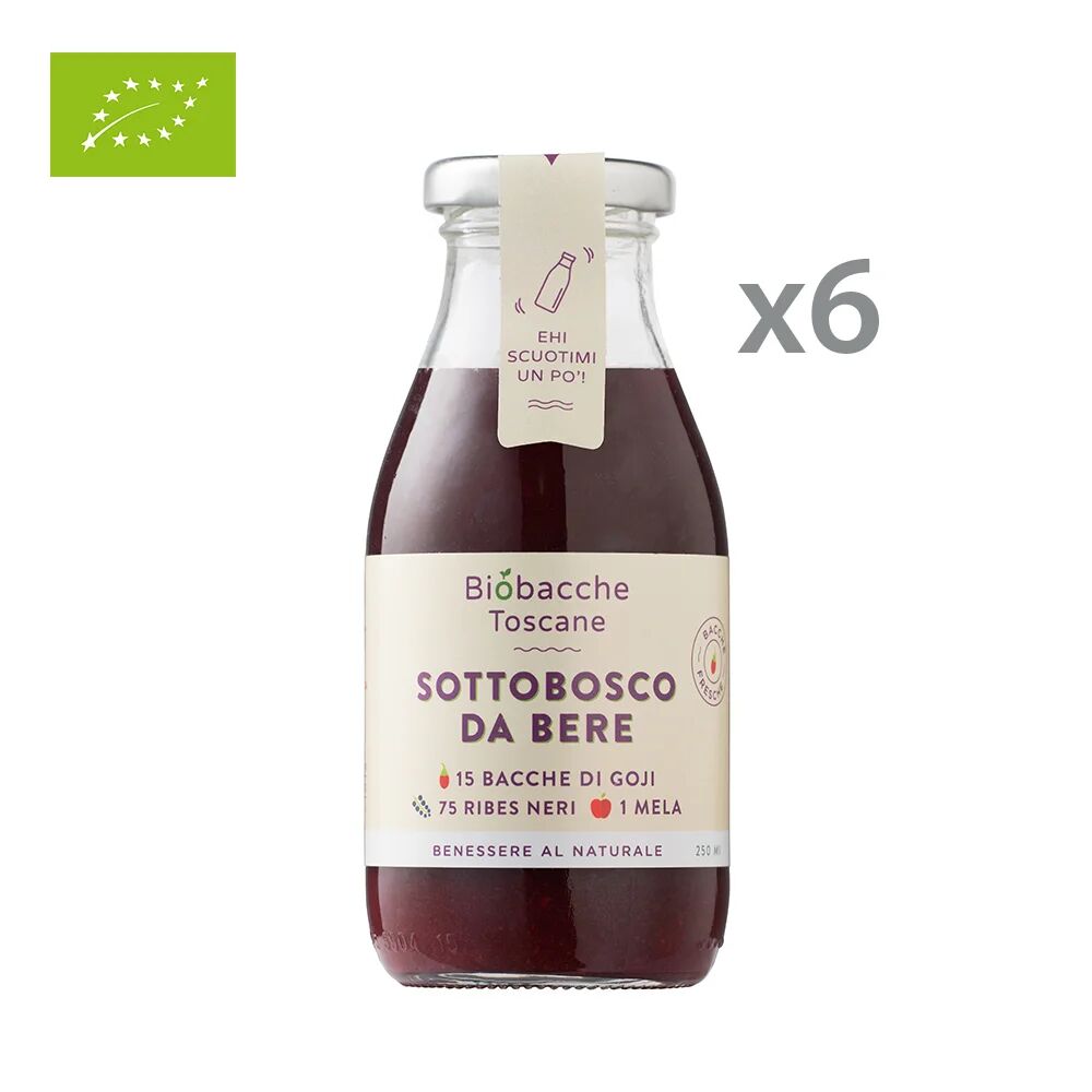 Biobacche Toscane 6 bottigliette - Sottobosco da bere 250 ml