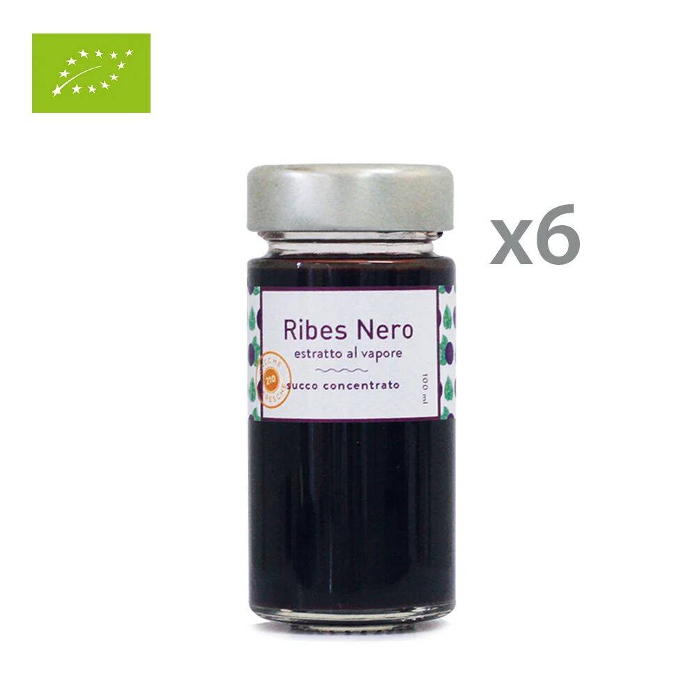 Biobacche Toscane 6 vasetti - Estratto al vapore di Ribes Nero 100 ml