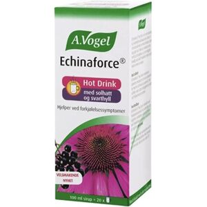 Echinaforce Hot Drink Sirup