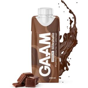 Gaam Milkshake 250 Ml