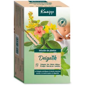 Kneipp Delgaté infusión bolsitas 20 u