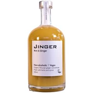 Jinger Drinks Organic Ginger & Mint - 200ml - Ginger Concentrate - Vegan - Reflux - Immune Booster -Heartburn