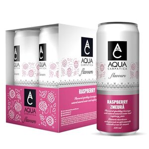 AQUA Carpatica Sparkling Flavours Raspberry 330ml x 4 - Natural Fruit Juice Infused Sparkling Water, No Added Sugar, Naturally Alkaline, Sweetened with Agave Syrup, Rich in Minerals