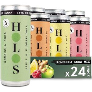 HOLOS Kombucha Drink Sparkling Soda Cans 24 x 250ml Mixed Case 6x Each of Raspberry & Lemon, Apple & Elderflower, Ginger & Turmeric, Pineapple & Mint Live Cultures, Vegan, Sugar & Gluten Free