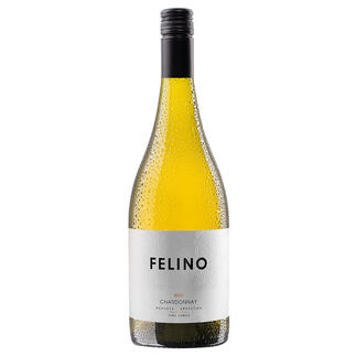 Felino Chardonnay 2019, Viña Cobos, Mendoza, Argentinien, 1 Flasche à 0,75 l