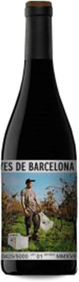 L'Olivera Vinyes de Barcelona 2019