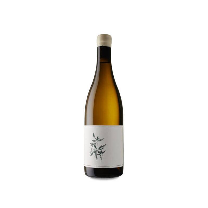 Arnot-Roberts Trout Gulch Vineyard Chardonnay 2019